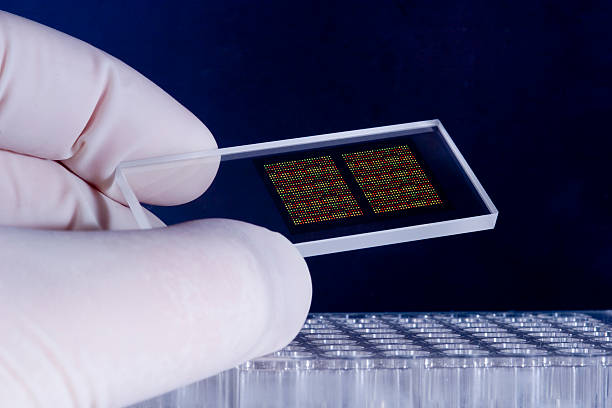 DNA Chips: Unlocking the Secrets of Genetics